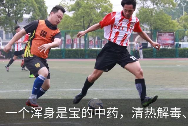 一个浑身是宝的中药，清热解毒、消肿散结、利尿通淋，用好有良效