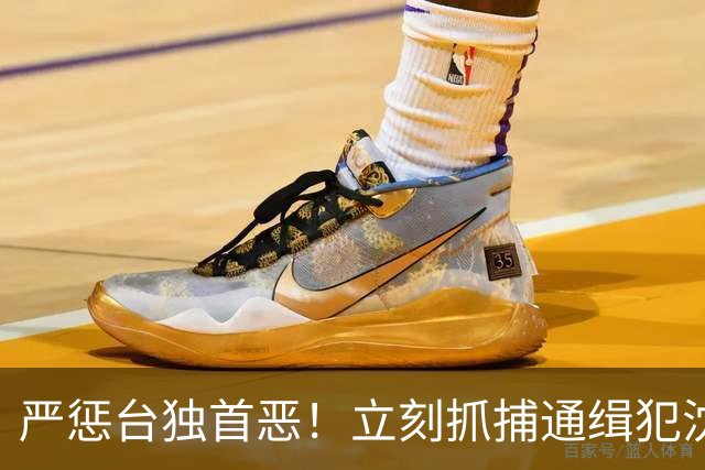严惩台独首恶！立刻抓捕通缉犯沈伯洋！