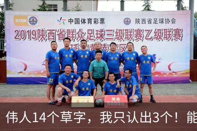 伟人14个草字，我只认出3个！能认全的真是高手。草书凭什么是书体中最富创造力的？