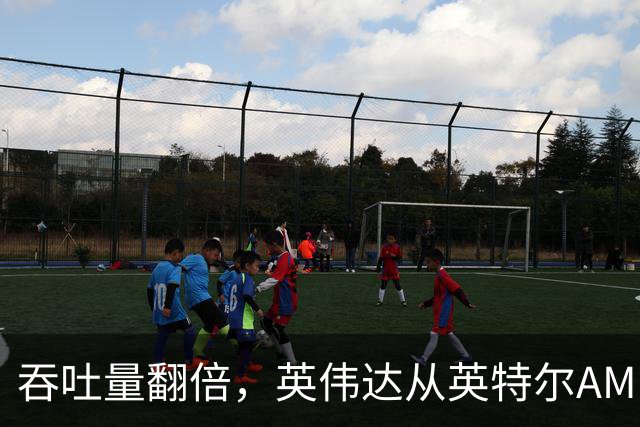 吞吐量翻倍，英伟达从英特尔AMD手里抢下AI初创订单