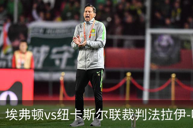 埃弗顿vs纽卡斯尔联裁判法拉伊-哈勒姆数据：近20场0红66黄6点