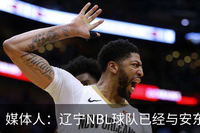 媒体人：辽宁NBL球队已经与安东尼取得联系
