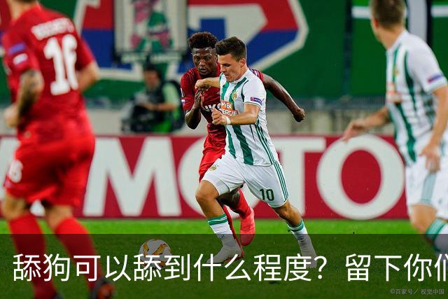 舔狗可以舔到什么程度？留下你们的截图，我想开开眼界！