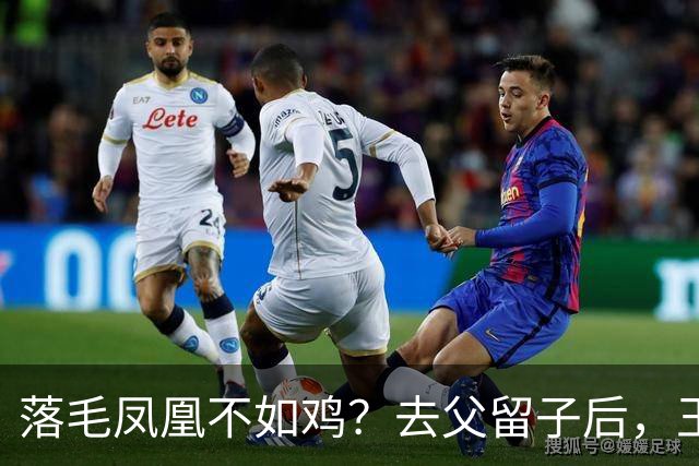 落毛凤凰不如鸡？去父留子后，王鸥回应无戏可拍，坦言走上另一条路