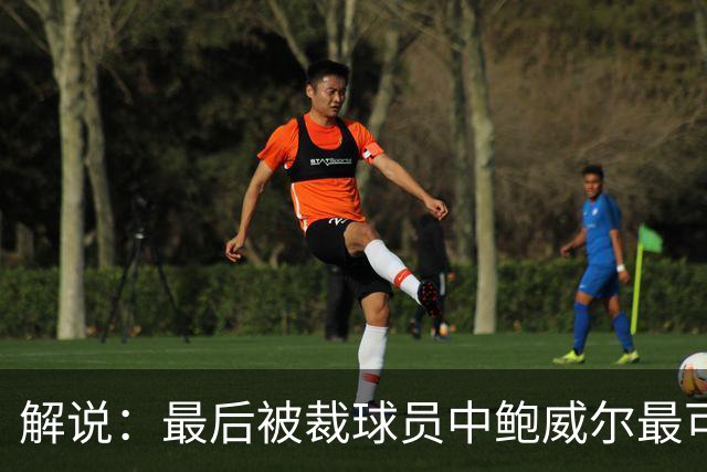 解说：最后被裁球员中鲍威尔最可惜 他某些能力远胜同位置年轻人