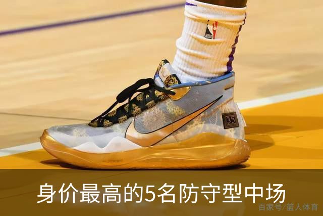 身价最高的5名防守型中场